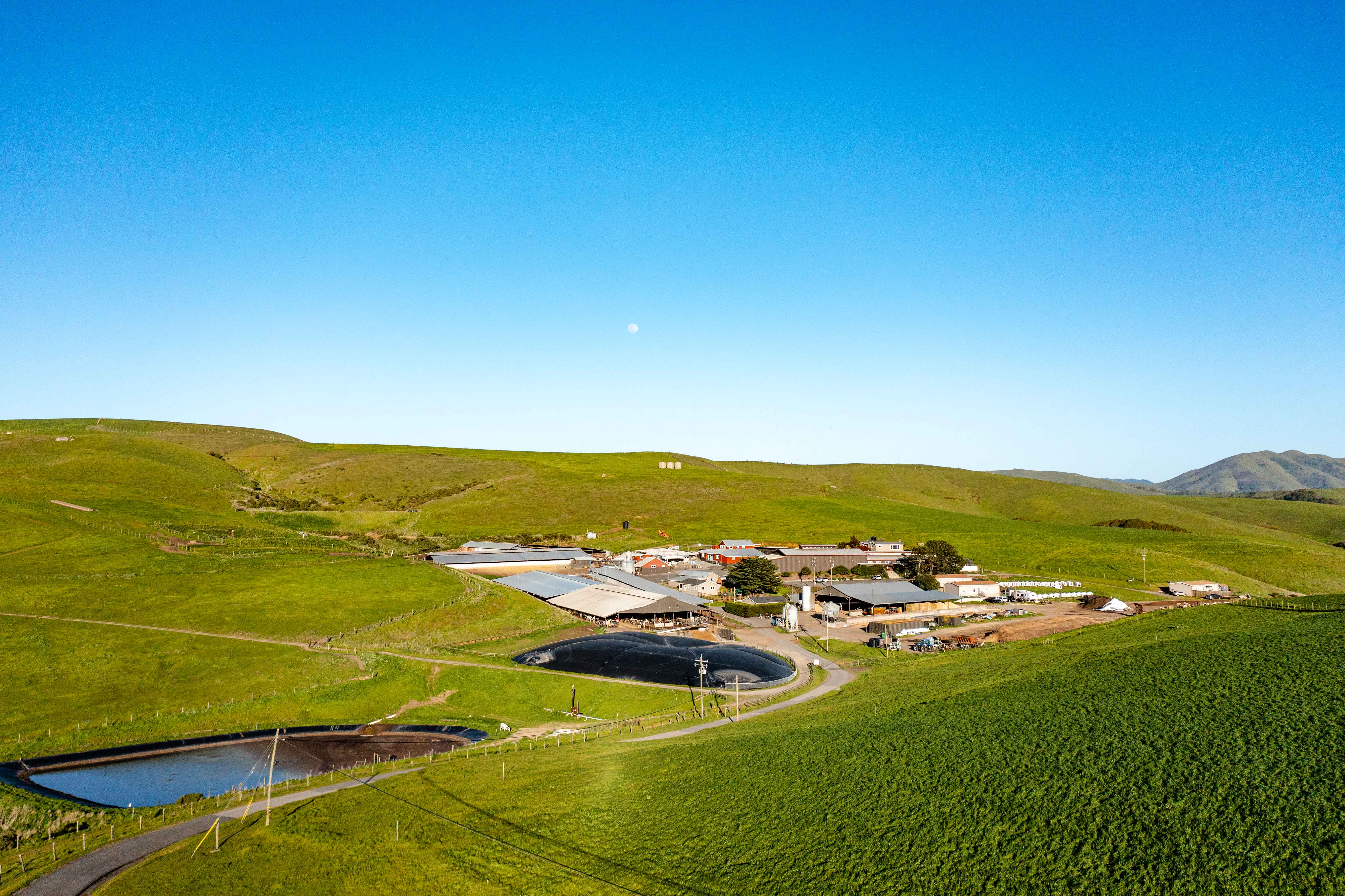 landscape of the giacomini dairy