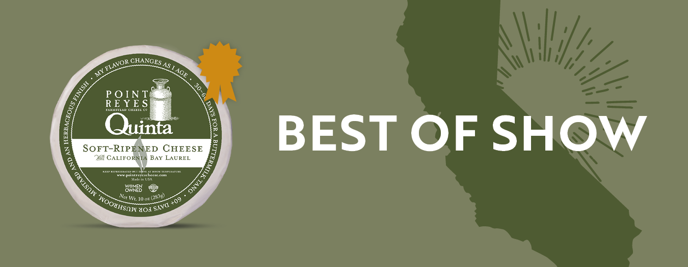 CA Best of SHow Quinta Banner
