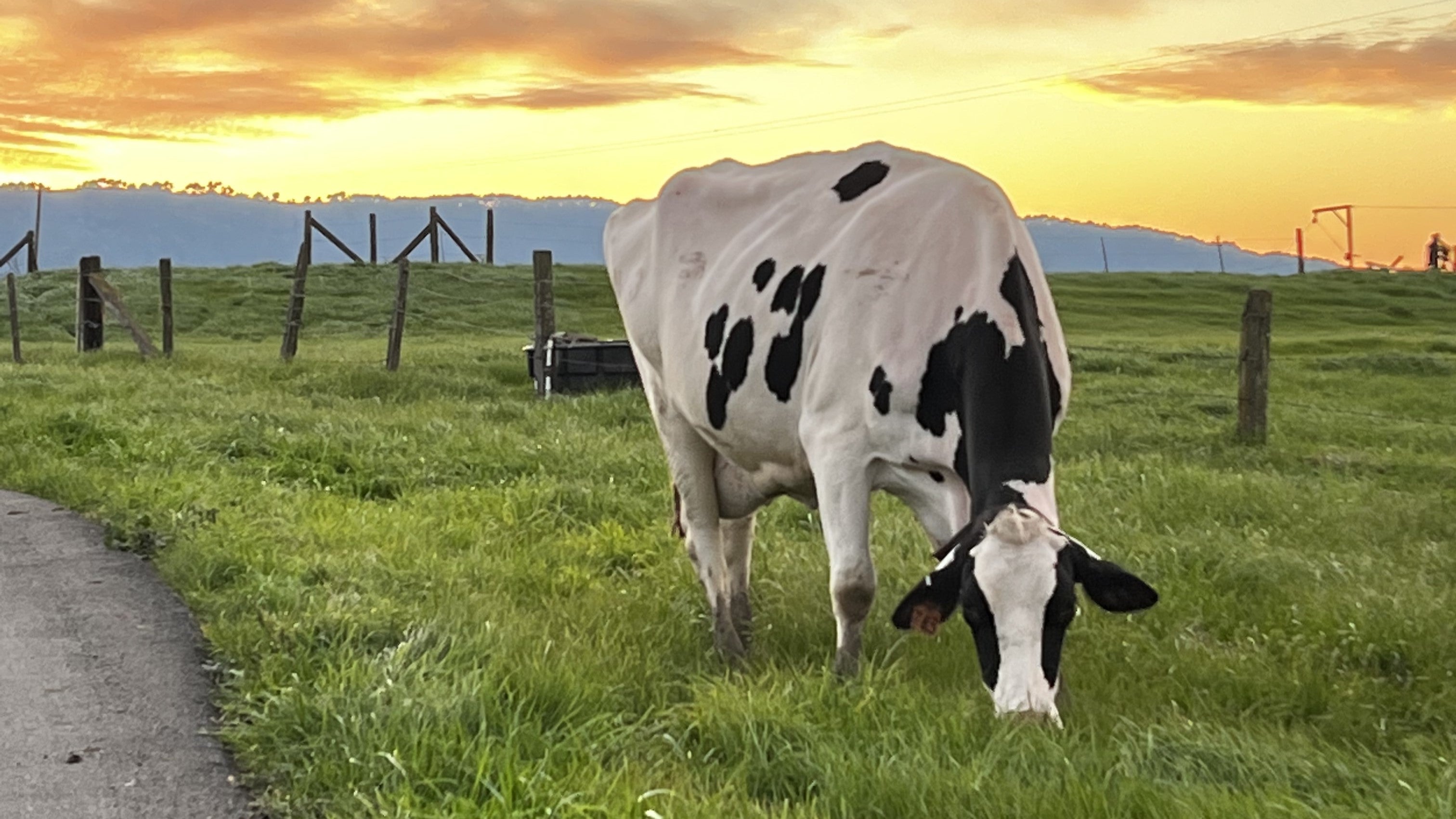 Celebrating Earth Day: Our Sustainable Farming Journey