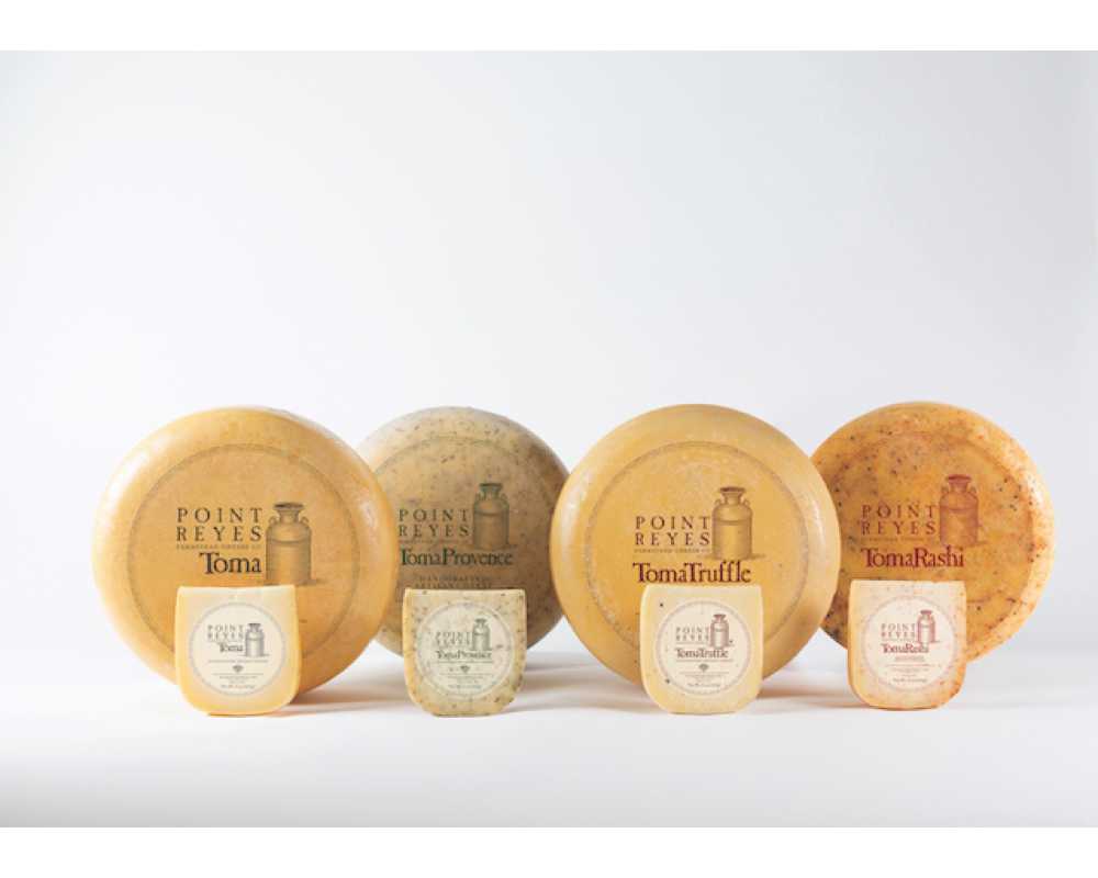 Toma Wheel, TomaProvence Wheel, TomaTruffle Wheel, TomaRashi Wheel