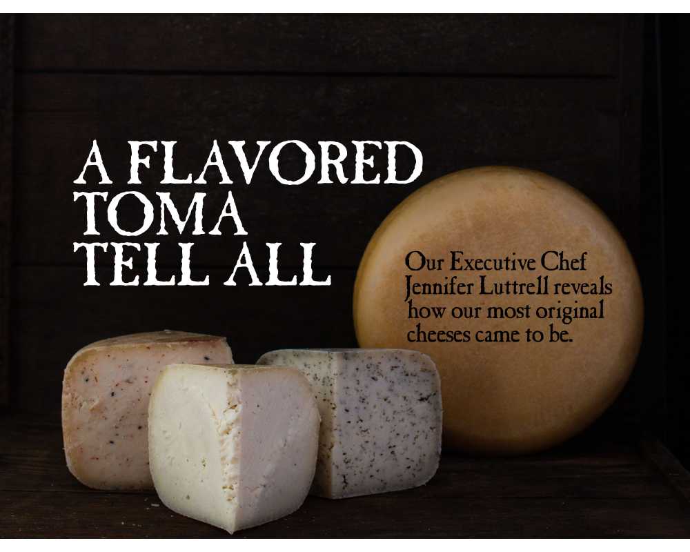 A wheel of Toma with pieces of TomaProvence, TomaTruffle, and TomaRashi with the headline "A FLAVORED TOMA TELL ALL"