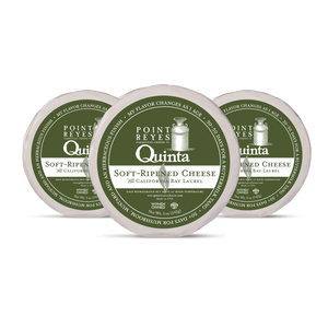 Three containers of Point Reyes Quinta soft-ripened cheese on a white background