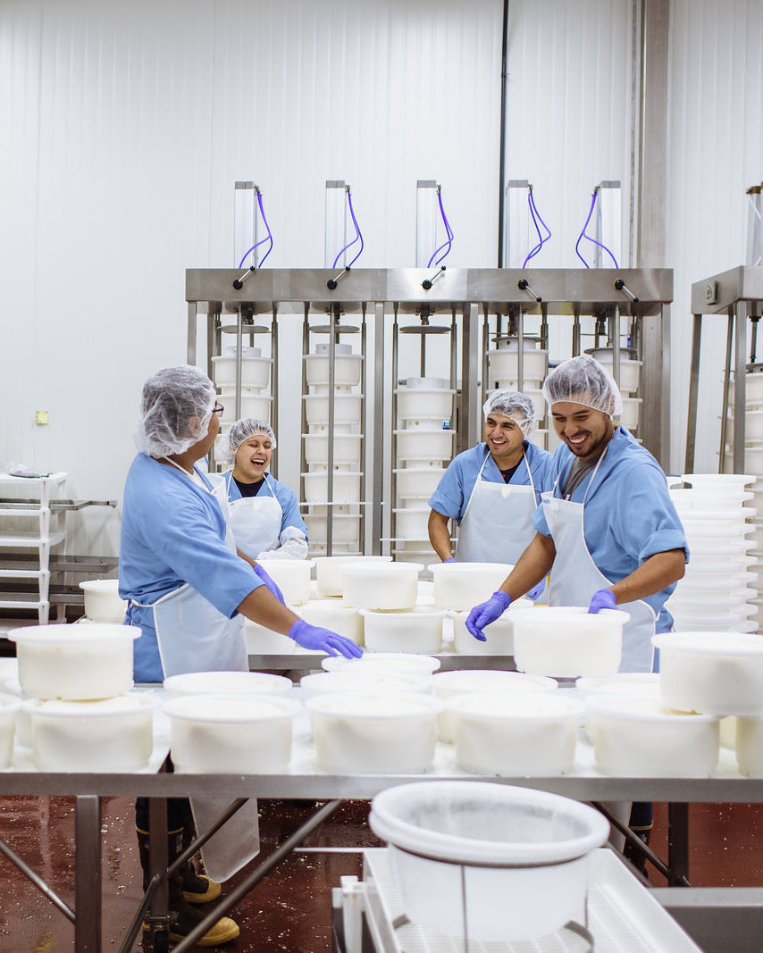 Workers in blue uniforms and hairnets process white cylindrical blocks in a clean industrial food production facility with stainless steel equipment and tables.