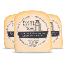 Three blocks of Point Reyes Toma Italian-Inspired Artisan Cheese on a white background