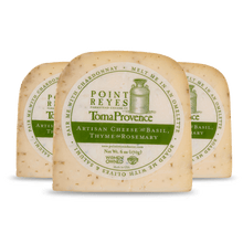 Three blocks of Point Reyes Toma Provèence artisan cheese with labels on a white background